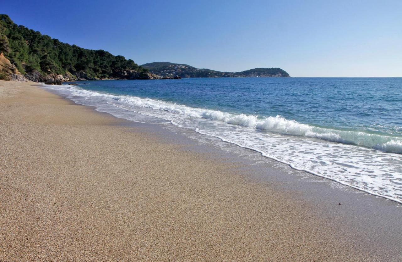 Magnifique Petit Cocon Bord De Mer Le Pradet Luaran gambar