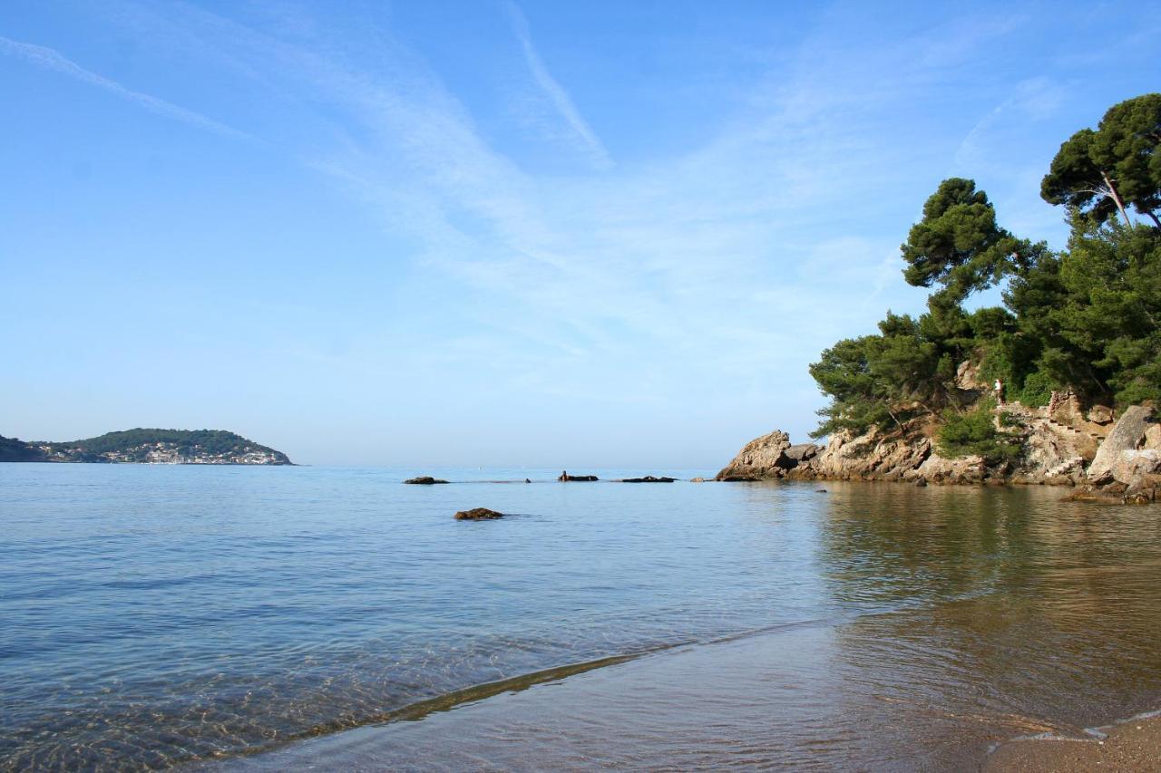 Magnifique Petit Cocon Bord De Mer Le Pradet Luaran gambar